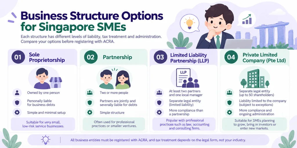 infographic article about Business Structure Options for Singapore SMEs